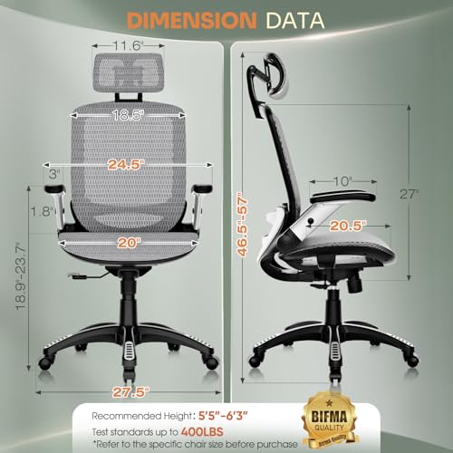 The Gabryllly Ergonomic Office Chair High Back Home Desk Chair - Grey - Like New