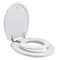 TOPSEAT TINYHINEY POTTY ROUND TOILET SEAT ADULT CHILD HINGES 6TSTR9999CP - WHITE - Brand New