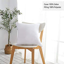 Oubonun 20 x 20 Throw Pillow Inserts Set of 2 with 100% Cotton Cover - Brand New