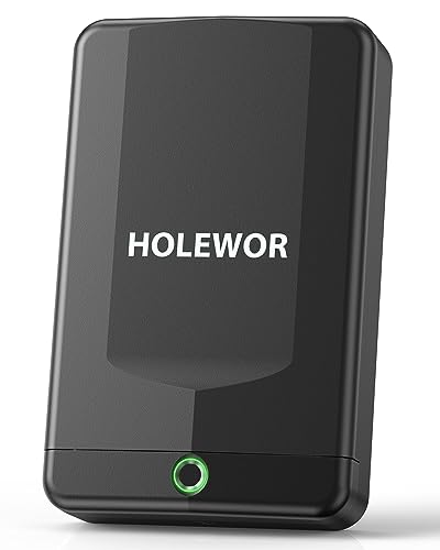 HOLEWOR Gun Safe Small Pistol Safe Biometric Gun Safes for Handgun - Black New