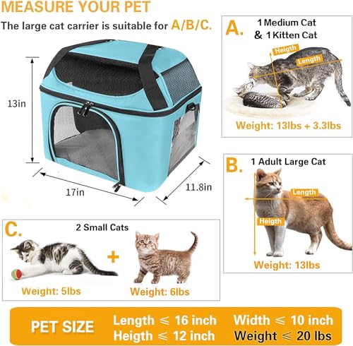 BEJIBEAR LARGE CAT CARRIER FOR 2 CATS 20 LBS - PATTERN 001 - BLUE - Like New