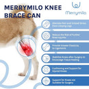 MERRYMILO DOG KNEE BRACE,ACL,CCL,CRUCIATE LIGAMENT, SIZE: S - SILVER - Like New