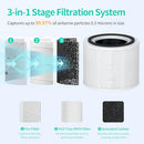 HILLCLEAN 2 PACK TRUE HEPA REPLACEMENT FILTER FOR PURO AIR 240 AIR PURIFIER - Like New