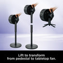 SHARK INDOOR & OUTDOOR OSCILLATING FAN PEDESTAL & TABLETOP, CORDED - BLACK - Like New