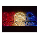 FlexiArt Red, White and Blue Lighted Patriotic USA Sign - Brand New
