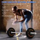 BALANCEFROM OLYMPIC BUMPER PLATE WEIGHT PLATE WITH STEEL HUB,BLACK, 15LBS SINGLE - Like New