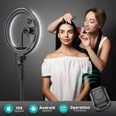 Weilisi 10" Selfie Ring Light with Tripod Stand, 72'' Tall RL201W - Black - Like New