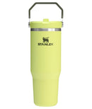STANLEY ICEFLOW FLIP STRAW TUMBLER W/ HANDLE|FLIP ON LID AND FLIP UP STRAW - Brand New
