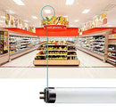 Circle (6 Pack F17T8/841 17W 24" T8 Fluorescent Tube Light Bulb G13) - Brand New