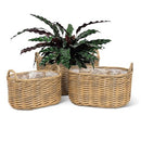 Abbott Collection Large Oval Woven Baskets/Planters with Handles - Brand New