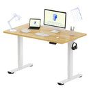 FLEXISPOT EN1 ONE-PIECE STANDING DESK 48"X24" SEAMLESS DESKTOP - MAPLE - Like New