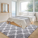Merelax Fluffy Rug Modern Indoor Plush Bedroom Luxury Fuzzy 5x8, Grey - Brand New