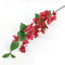 GENERIC 10PCS SILK BOUGAINVILLEA GLABRA CLIMBING FLOWER ARTIFICIAL BOUGAINVILLEA - Like New