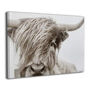 Hd8yehao Freedom Highland Cow Pictures Canvas Wall Art Farmhouse Prints 16"x20" - Brand New