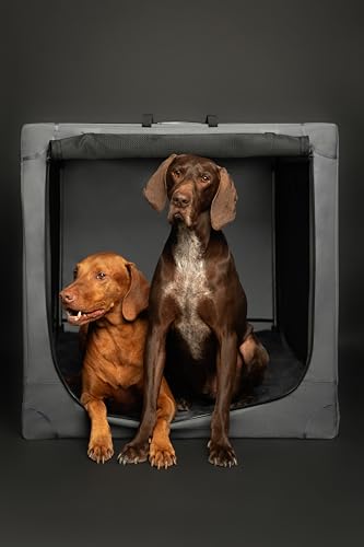 NOAH & PAW COLLAPSIBLE DOG CRATE 30 INCHES, LARGE MEDIUM BREED - GRAY - Like New