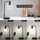 Ganiude Set of 2 Industrial Touch Control Table Lamp, 5000K Bulbs Include - Brand New
