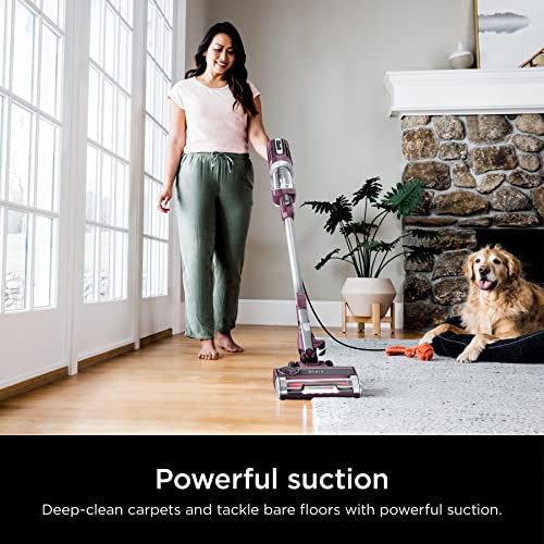 SHARK ULTRALIGHT PETPRO CORDED STICK VACUUM POWERFINS HAIRPRO - WINE PURPLE - Like New