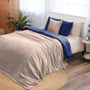 NORTHWEST Ashford Home Cozy Warmwell Blanket - Moonlight Taupe - Queen Size - Brand New