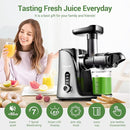 AMZCHEF Juicer Machines Slow Masticating Two Speed Modes GM3001 - Gray Like New