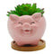 CUTEFORYOU ANIMAL PIG SHAPED CERAMIC CACTUS FLOWER PLANTERS WITH BAMBOO TRAY- Like New