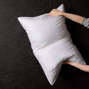 SHENZHEN YALV HOME DRESS DECORATION LUXURY HOTEL COLLECTION BED PILLOWS - Like New