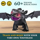 Spin Master How To Train Your Dragon Tame & Train Toothless - 6072728 - Black - Brand New