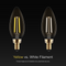 LUMINUS 300 LUMENS, 4 WATT, 3000 KELVIN,E26 BASE, FILAMENT BULB, LED - 3000K - Brand New
