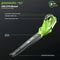 GREENWORKS 40V 135 CFM CORDLESS BATTERY LEAF BLOWER 24252 - BLACK/GREEN - Like New