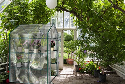 Greenhouse - Walk in Greenhouse with 8 Sturdy Shelves and PVC Cover - Brand New