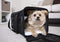 52000 TRUSTYPUP EASY EXPLORER TRAVEL PET CARRIER MEDIUM - BLACK - Like New