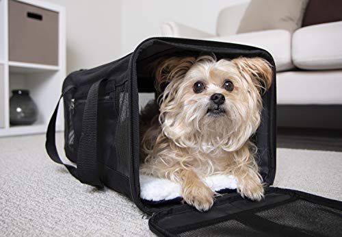 52000 TRUSTYPUP EASY EXPLORER TRAVEL PET CARRIER MEDIUM - BLACK - Like New