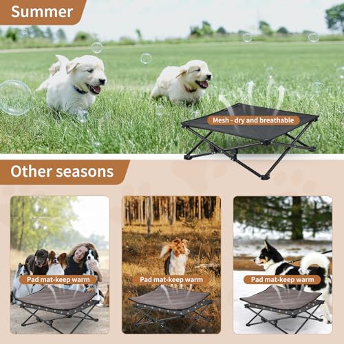 KINGCAMP ELEVATED DOG BED, MEDIUM DOGS, RAISED GROUND MESH, WASHABLE, BLACK - Like New