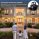 Pia Ricco Motion Sensor Outdoor Wall Lantern Matte Black Clear Glass - Black - Brand New