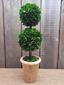 TRADINGSMITH PRESERVED BOXWOOD 20" DOUBLE BALL TOPIARY - Brand New