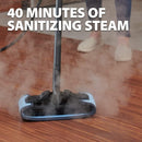 WAGNER SPRAYTECH 915E ON-DEMAND STEAM CLEANER WALLPAPER REMOVAL 282014 - YELLOW - Like New