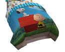 Peanuts Charlie Brown Sunny Day Twin Comforter Reversible B015OWGT4Y - Brand New