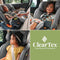 CHICCO ONEFIT CLEARTEX ALL-IN-ONE CAR SEAT, REAR-FACING SEAT, SLATE/GREY - Brand New