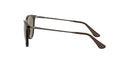 RJ9060 Ray Ban Girls' Erika Round Rubber Havana Dark Brown Lenses 50MM - 50MM - Like New