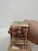 GENERIC LASER ENGRAVED CRYSTAL - HUMAN SKELETON - LED BASE - Like New