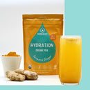 BUMBLEROOT ORGANIC ELECTROLYTE POWDER PLANT BASED HYDRATION TURMERIC GINGER 8 OZ - Brand New