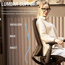 ELABEST MESH OFFICE CHAIR, ERGONOMIC COMPUTER DESK CHAIR ELABEST-1096M (BLACK) - Like New