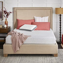 SEALY COOL & CLEAN 8" MEMORY FOAM BED IN BOX QUEEN WHITE F03-00178 - WHITE - Brand New