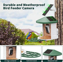 HARYMOR Bird Feeder Camera AI Identify Bird Species Solar Panel Smart - Green Like New