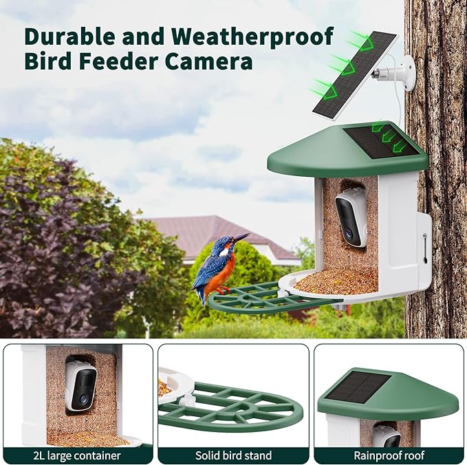 HARYMOR Bird Feeder Camera AI Identify Bird Species Solar Panel Smart - Green Like New