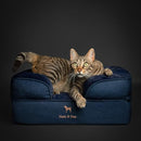NOAH & PAW CAT BED, XS DOG BED, ORTHOPEDIC MEMORY FOAM (2X BASE) 20X15X8 IN - Like New