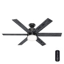 HUNTER FAN COMPANY 54 INCH INDOOR CEILING FAN WITH LIGHT 51017, MATTE BLACK - Like New